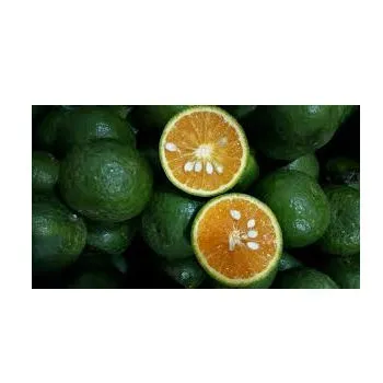 orange types in india price + wholesale and cheap packing specifications