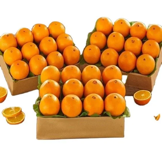 orange types in india price + wholesale and cheap packing specifications
