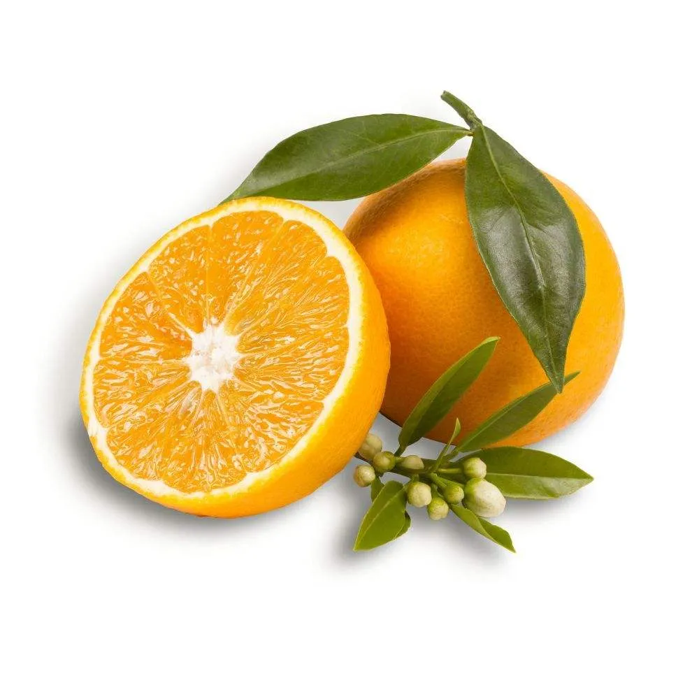 orange types australia purchase price + photo