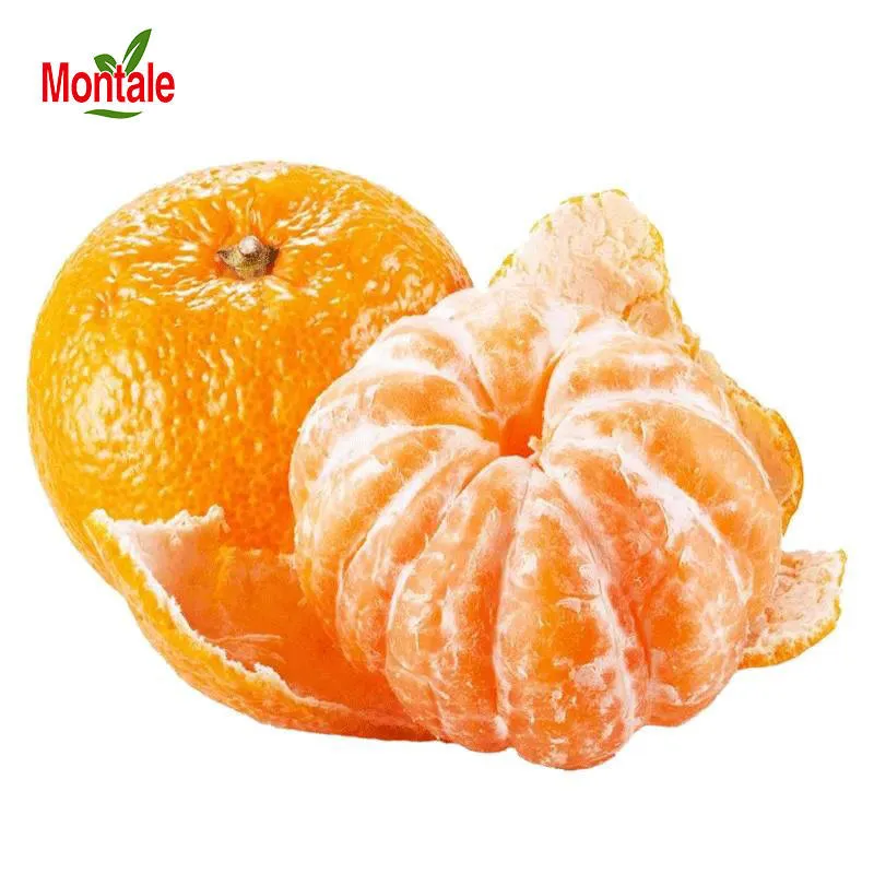 orange types of fruits purchase price + specifications, cheap wholesale