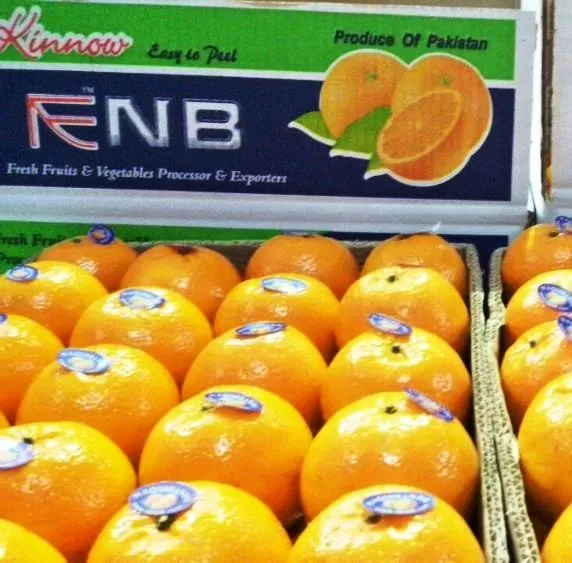 orange types in pakistan purchase price + quality test