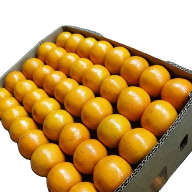 orange types in pakistan purchase price + quality test