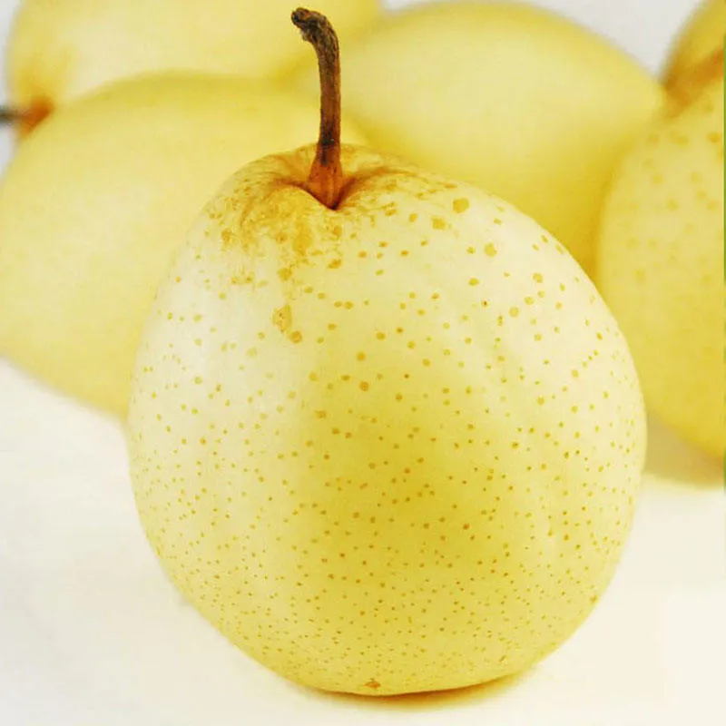 Buy apples and pears London types + price