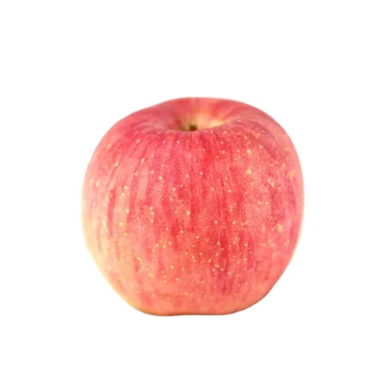 Buy apple fruit suppliers in Australia + best price