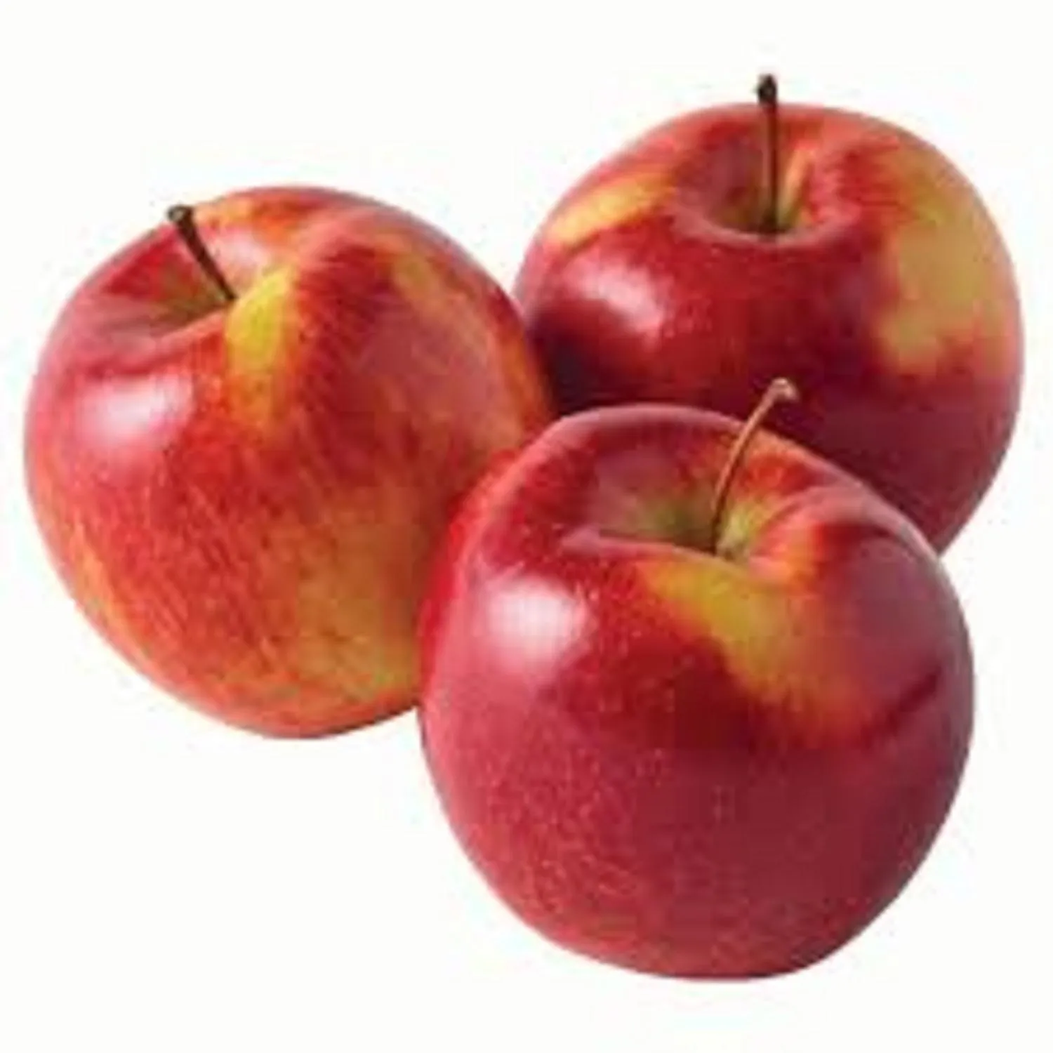 Buy apple fruit suppliers in Australia + best price