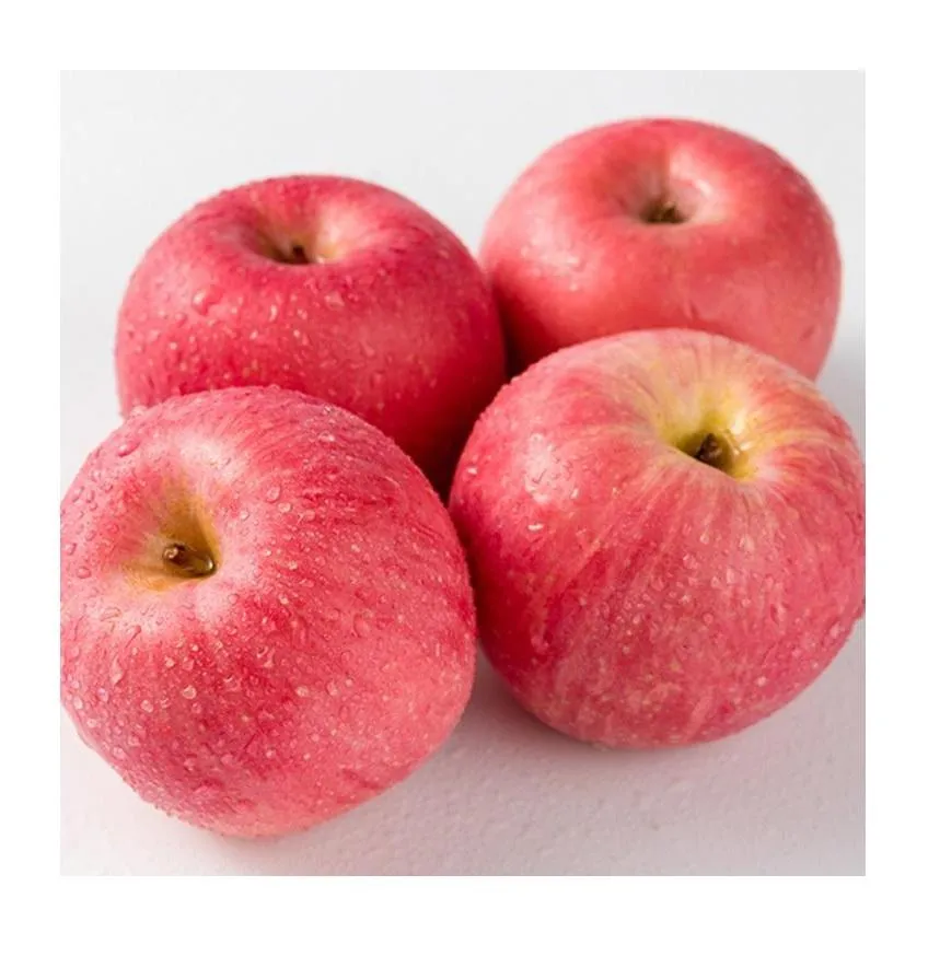 Buy apple fruit suppliers in Australia + best price