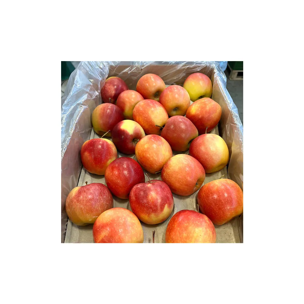 Price and buy wood apple fruit in Australia + cheap sale