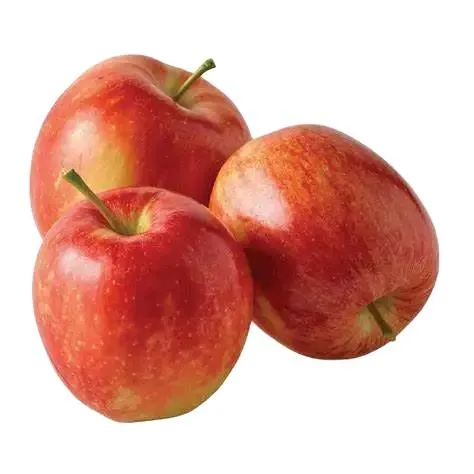 star apple fruit Australia | Buy at a cheap price