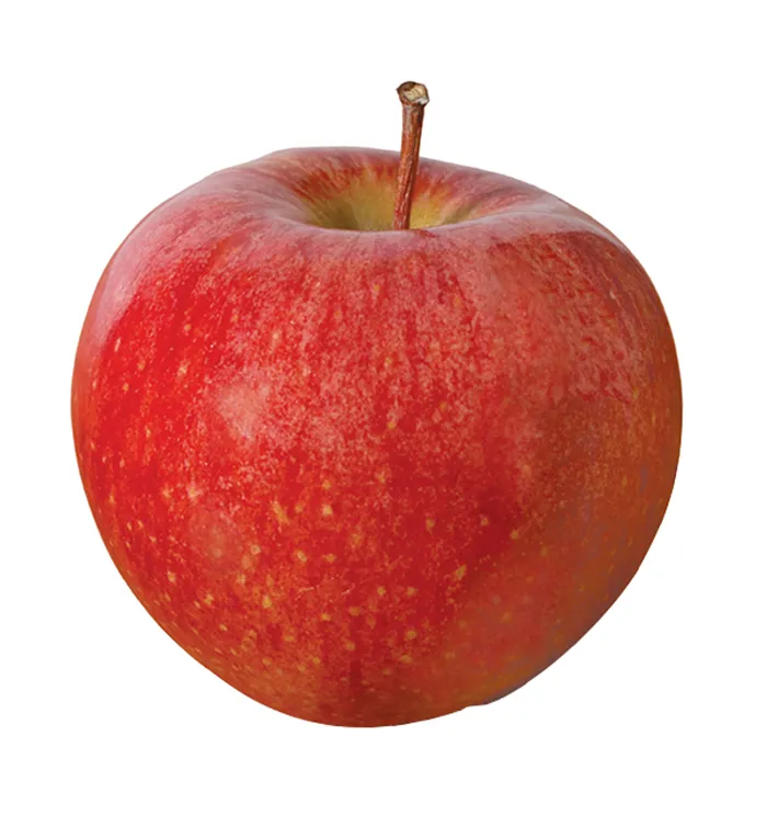 Buy apples fruit types types + price