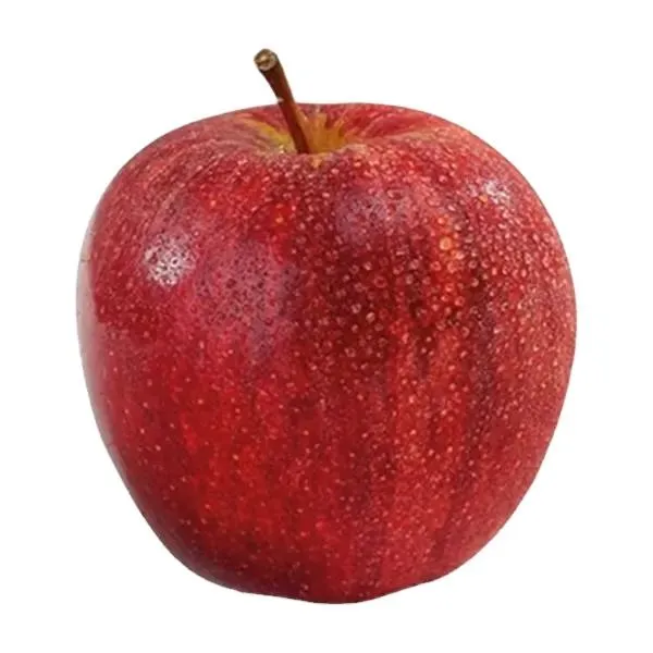 Buy the latest types of apple fruit Australia 