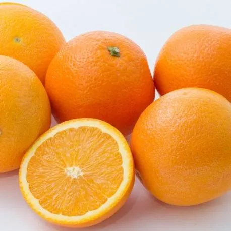 Buy and price of oranges and lemons rose uk
