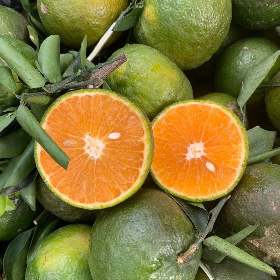 Buy orange fruits and vegetables list + best price