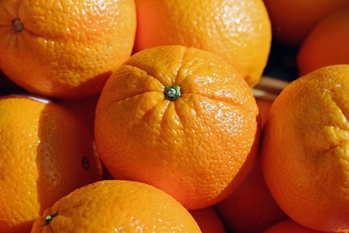 Purchase and today price of orange fruit korean