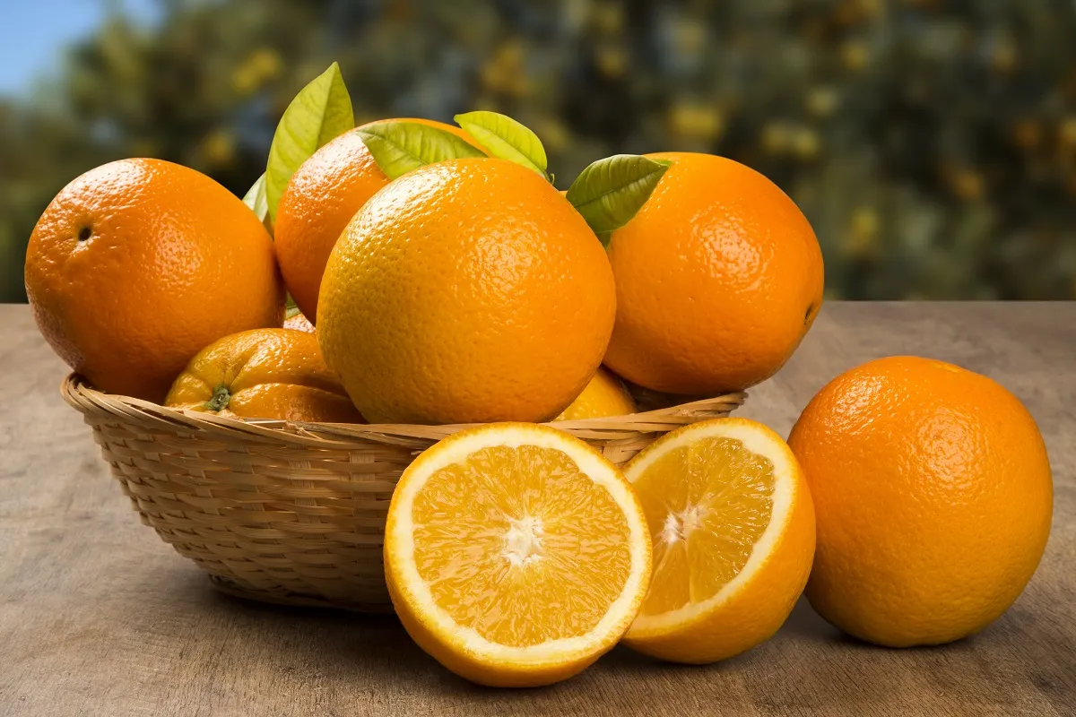 Purchase and today price of orange fruit korean